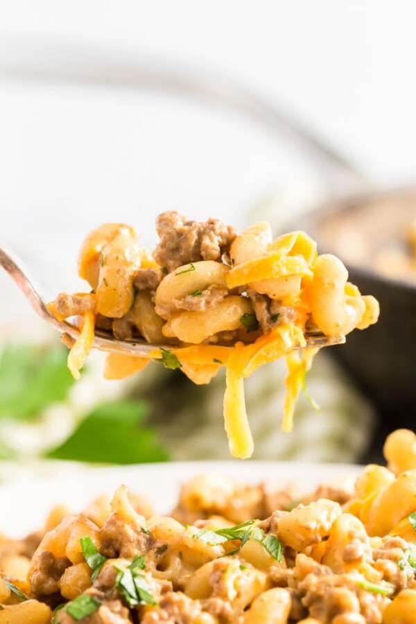 a bowl of cheeseburger pasta on a fork