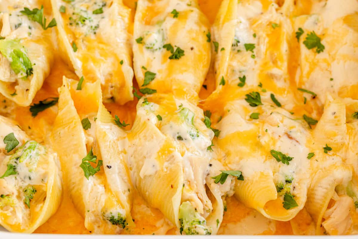 chicken alfredo stuffed shells lined up in a white dish