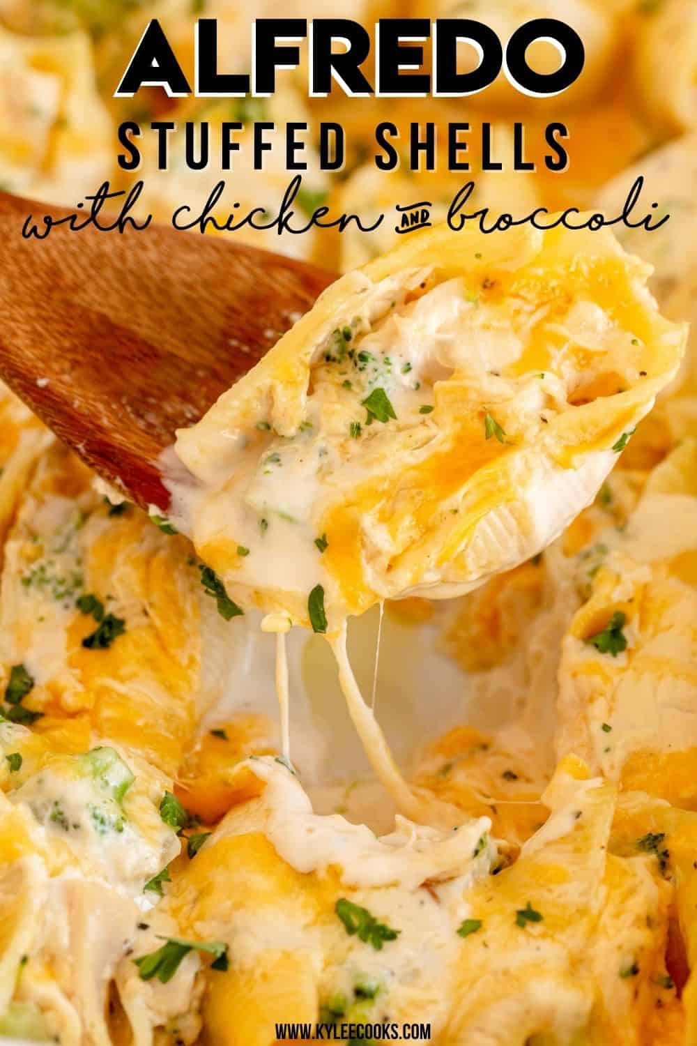 chicken alfredo stuffed shells with recipe name in a text overlay
