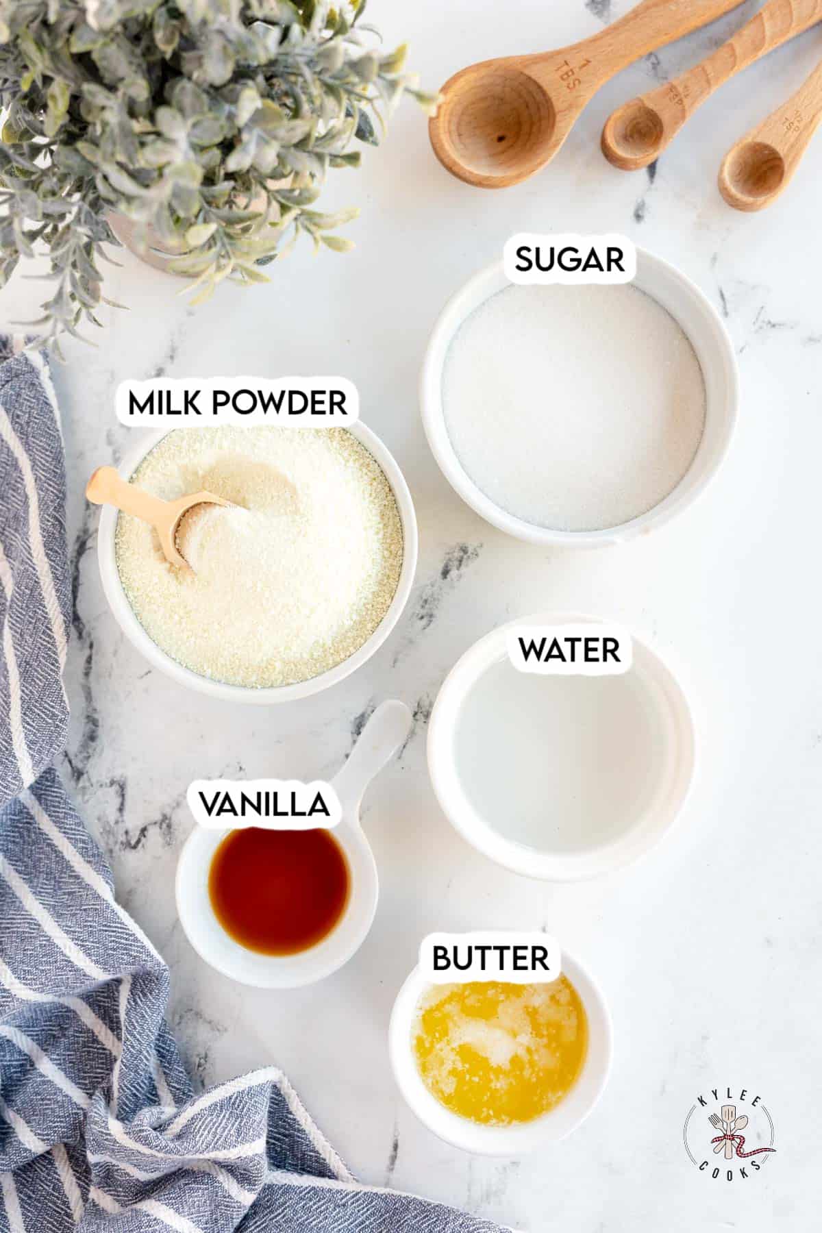 ingredients to make sweetened condensed milk laid out and labeled.