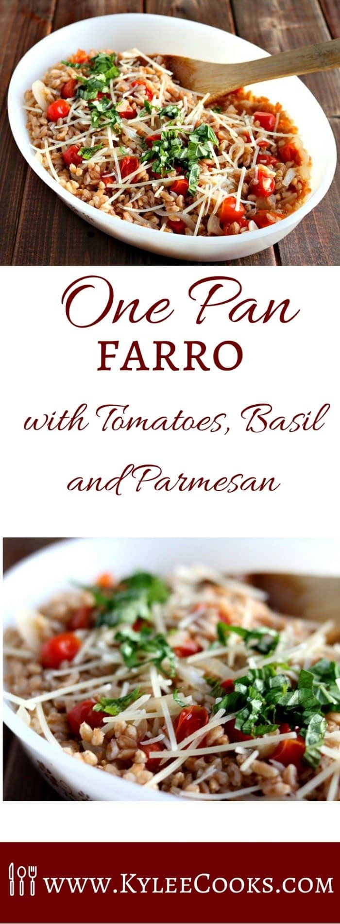 Farro Recipe (with Tomatoes, Basil and Parmesan) Kylee Cooks
