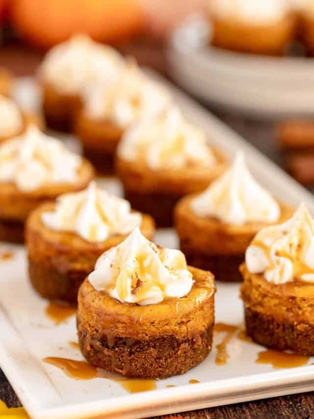 Mini Pumpkin Cheesecakes Recipe