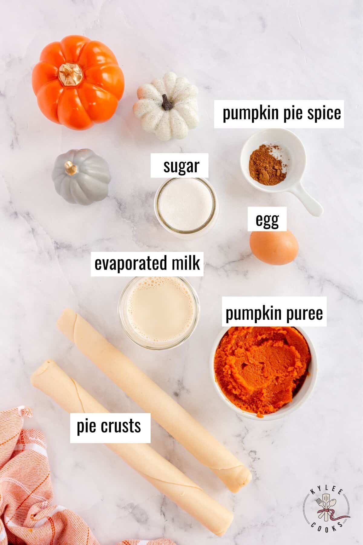 ingredients to make pumpkin pie laid out and labeled