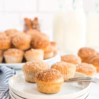 mini muffins on a white plate