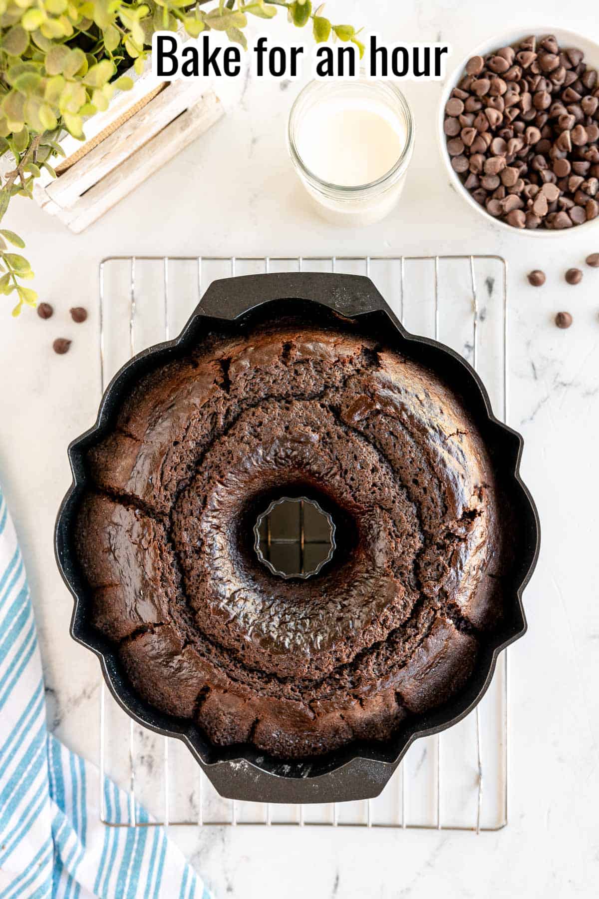 baked cake in a bundt pan.