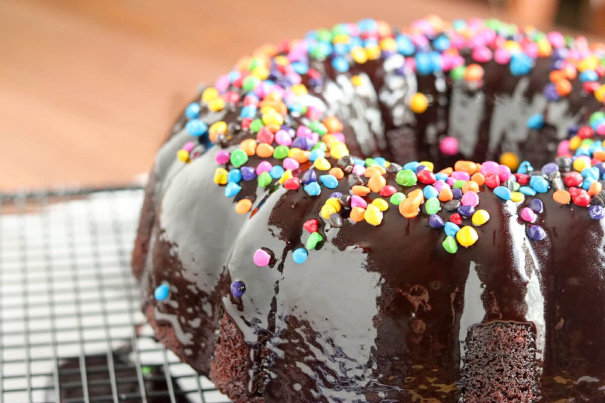 chocolate bundt cake with rainbow sprinkles