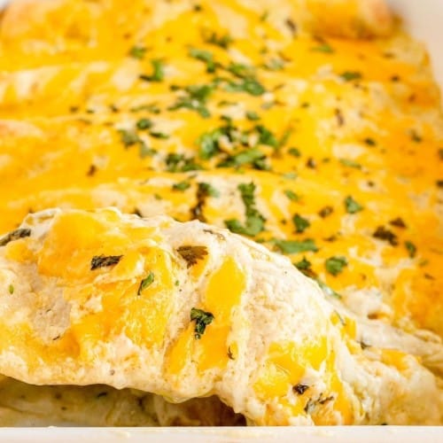 Simple Sour Cream Chicken Enchiladas Kylee Cooks