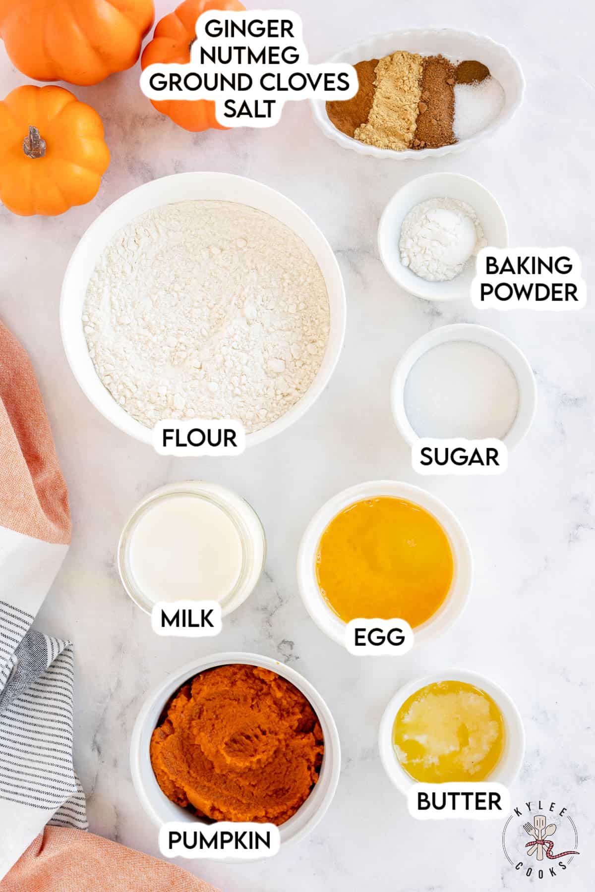 ingredients to make pumpkin spice pancakes laid out and labeled.