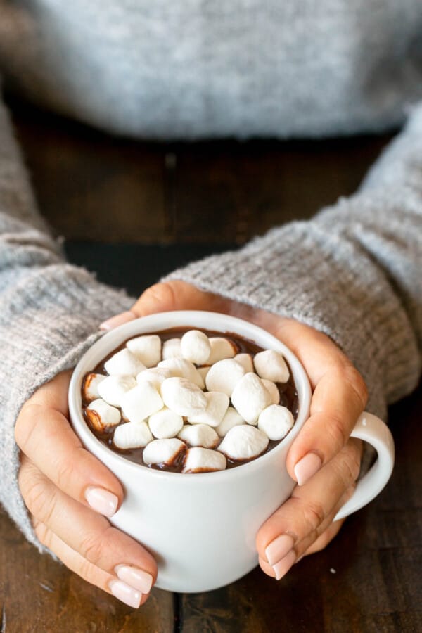 hands holding a mug of hot chocolate.