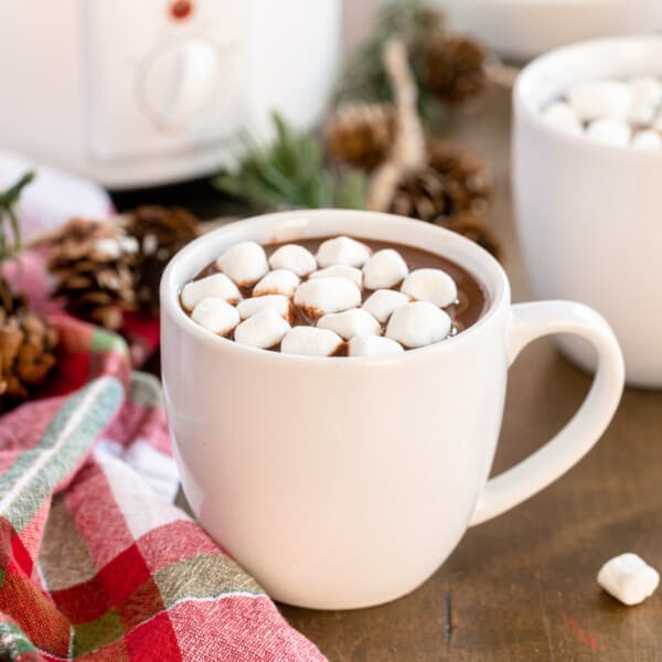 white mug of hot chocolate with winter decorations