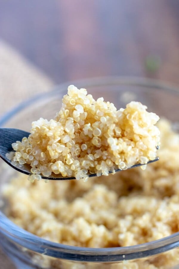 close up of cooked quinoa showing grains