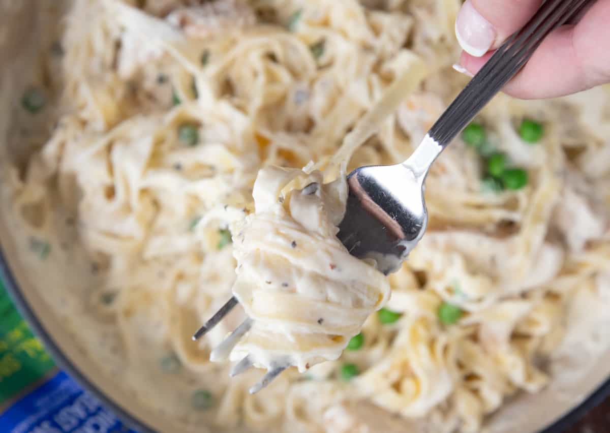 alfredo pasta on a fork.