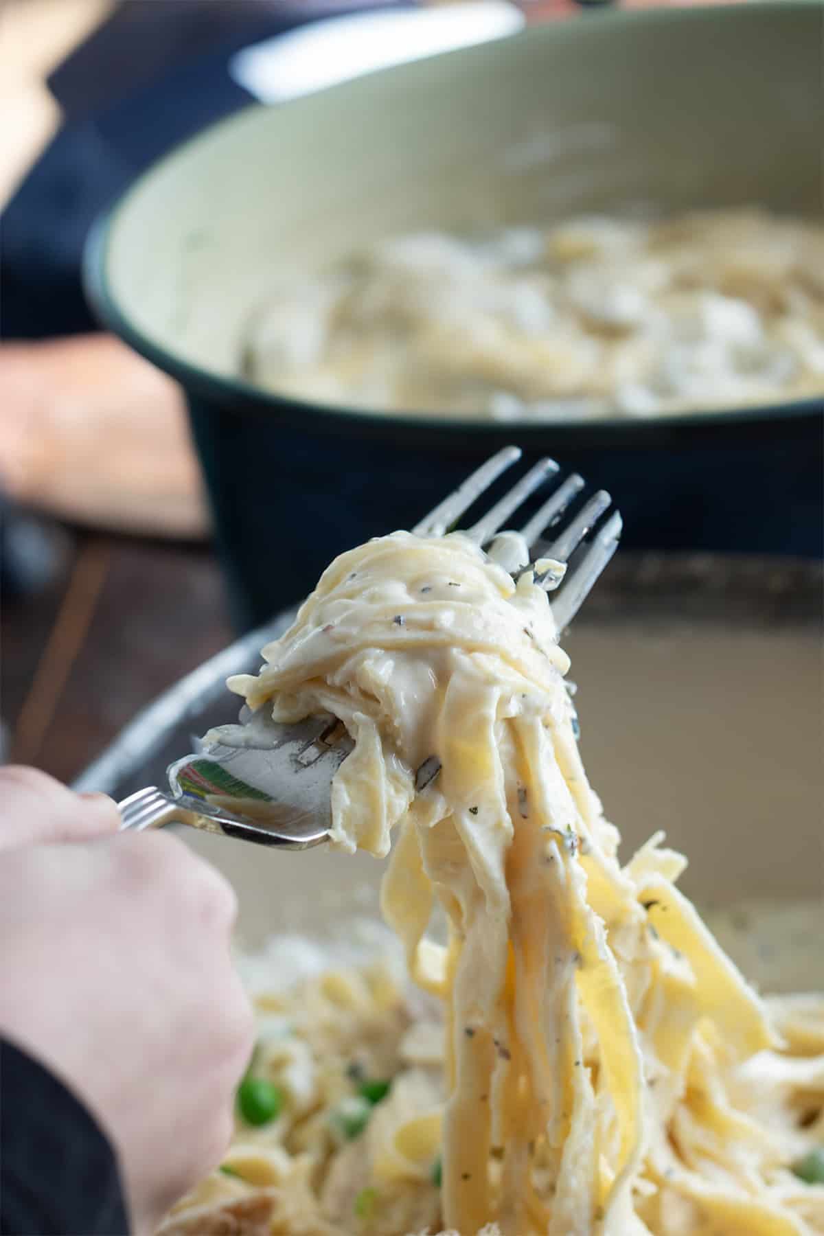 fettuccine alfredo on a fork, with a large pot of pasta.