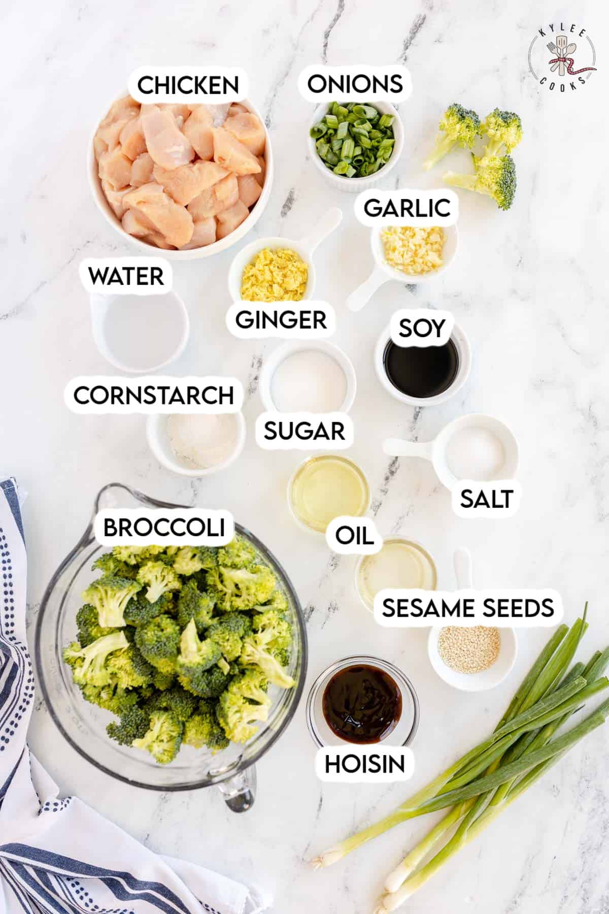 ingredients to make chicken broccoli stir fry laid out and labeled,