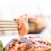 balsamic glazed salmon on a fork