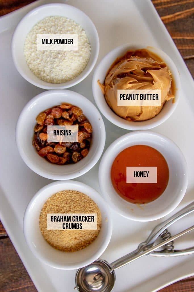 peanut butter protein balls ingredients laid out and labeled