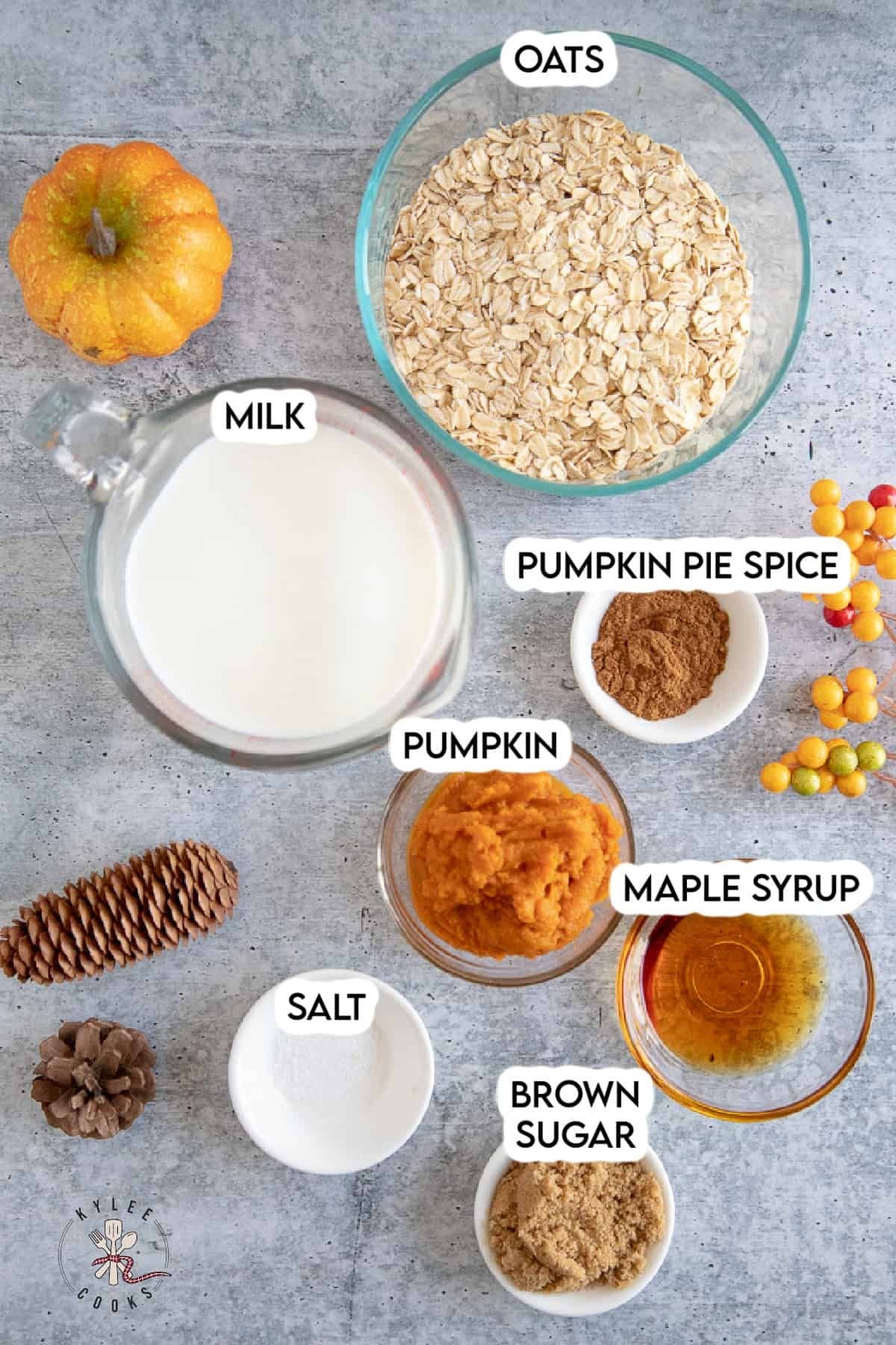 pumpkin oatmeal ingredients laid out and labeled