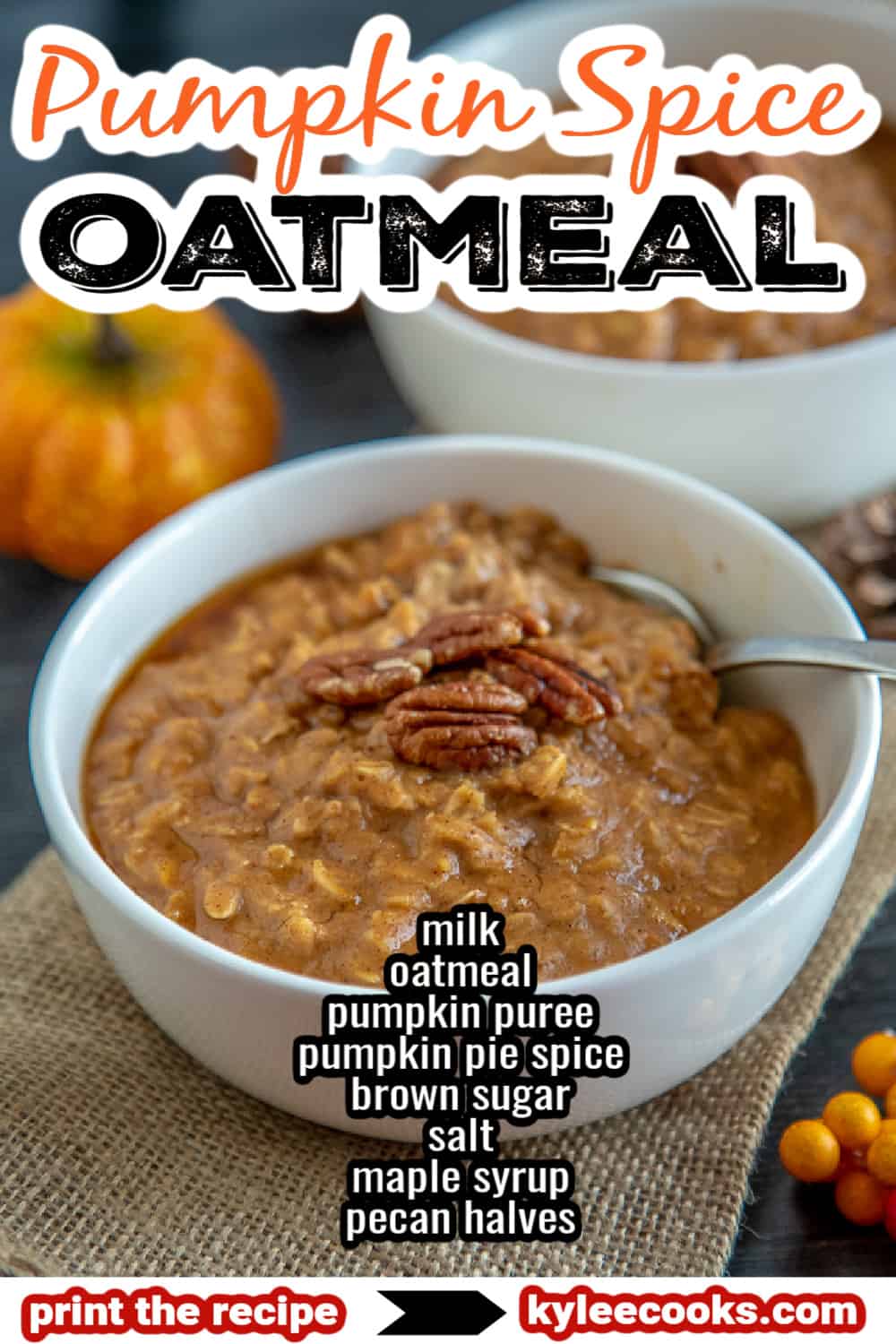 pumpkin oatmeal in a bowl with recipe ingredient images overlaid