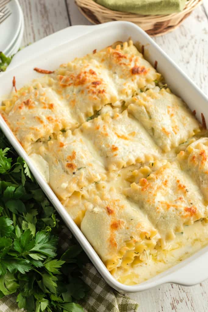 cooked lasagna rolls in a white dish