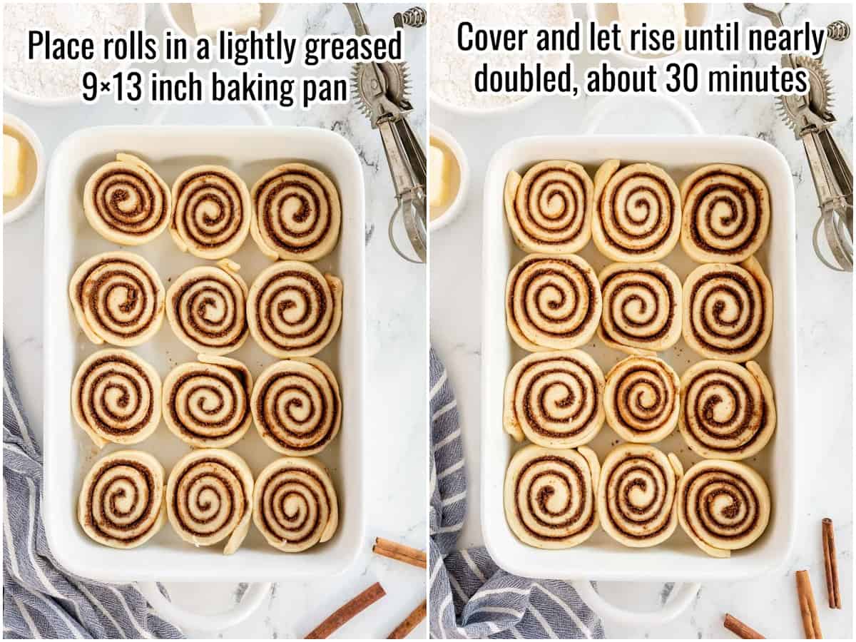 unrisen and risen cinnamon rolls in a baking dish.