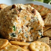 Jalapeno Popper Cheese Ball surrounded by crackers on a white platter