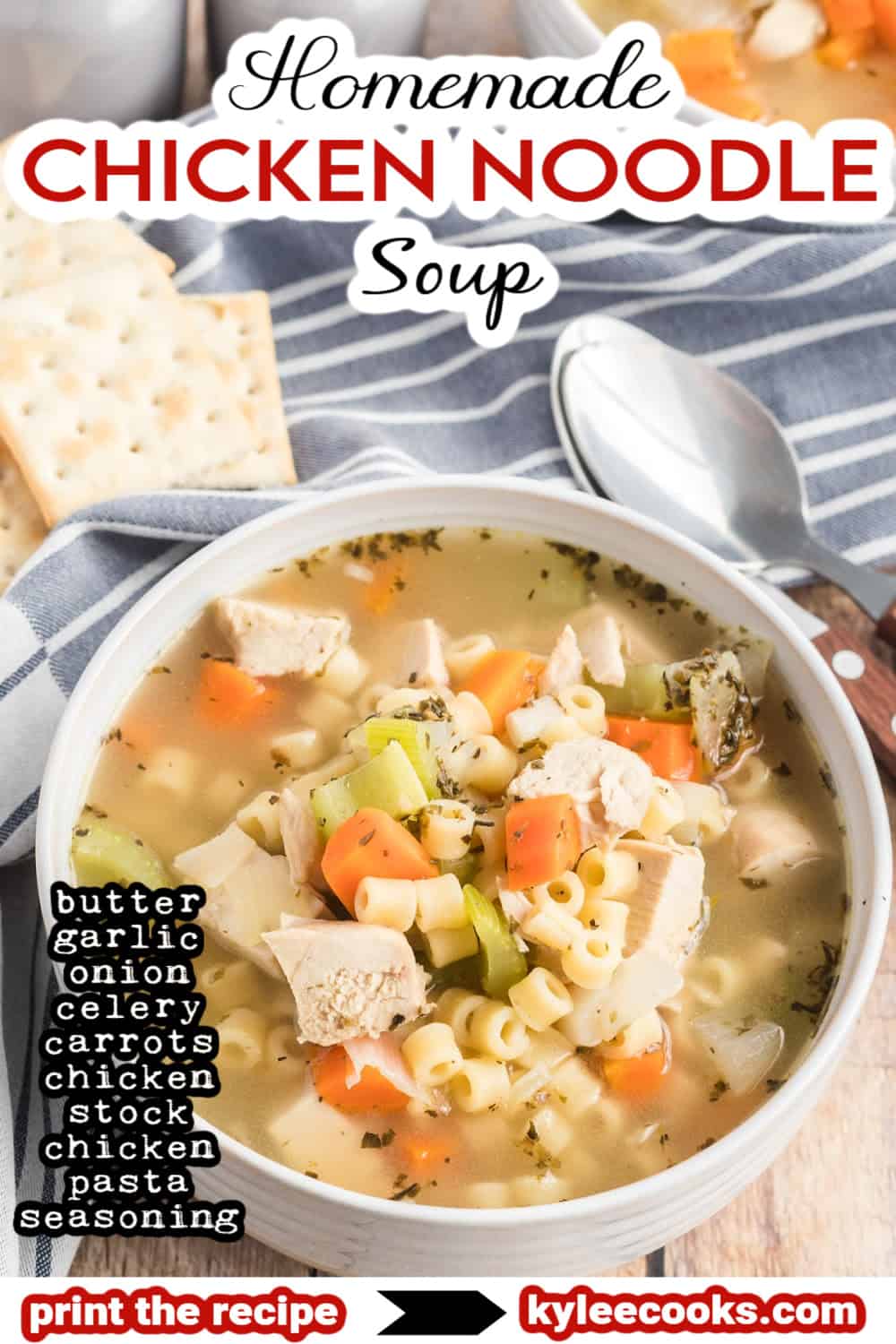 chicken noodle soup in a ladle with recipe name overlaid in text