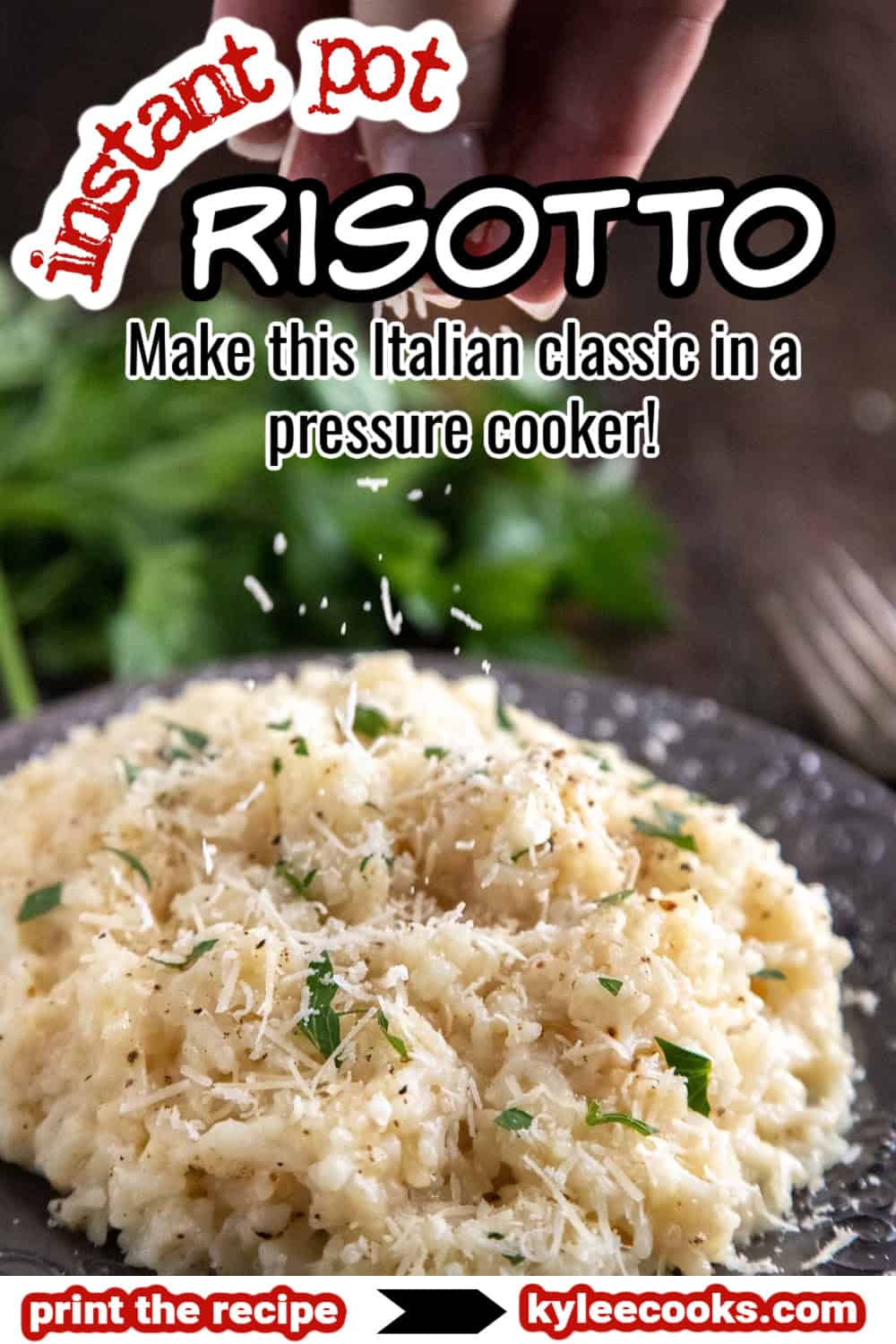 instant pot risotto with recipe name overlaid in text.
