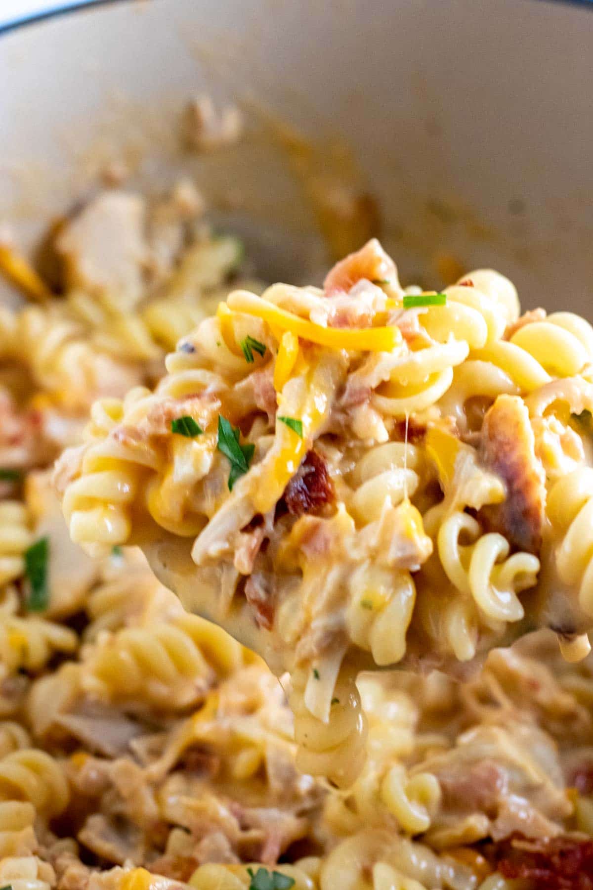 close up of a chicken bacon ranch pasta.