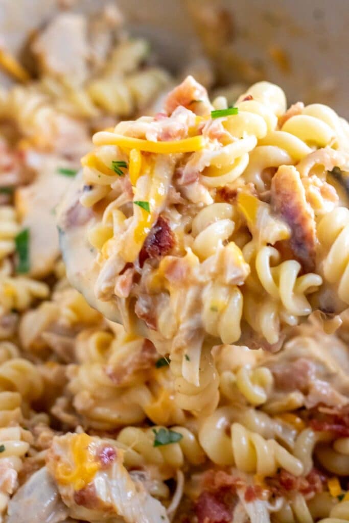 close up of a chicken bacon ranch pasta