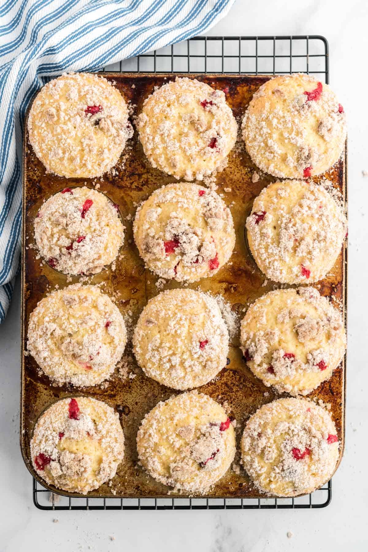 baked cranberry muffins in a muffin pan on a wire rack.
