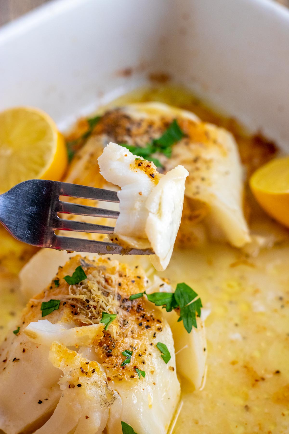 Whiting Fish Recipes Baked Whiting With Lemon Dill Sauce Whiting Fish Recipes Baked Whiting With Lemon Dill Sauce