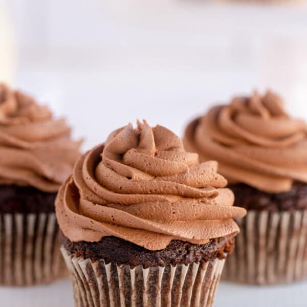 Chocolate cupcake with chocolate frosting swirled on top