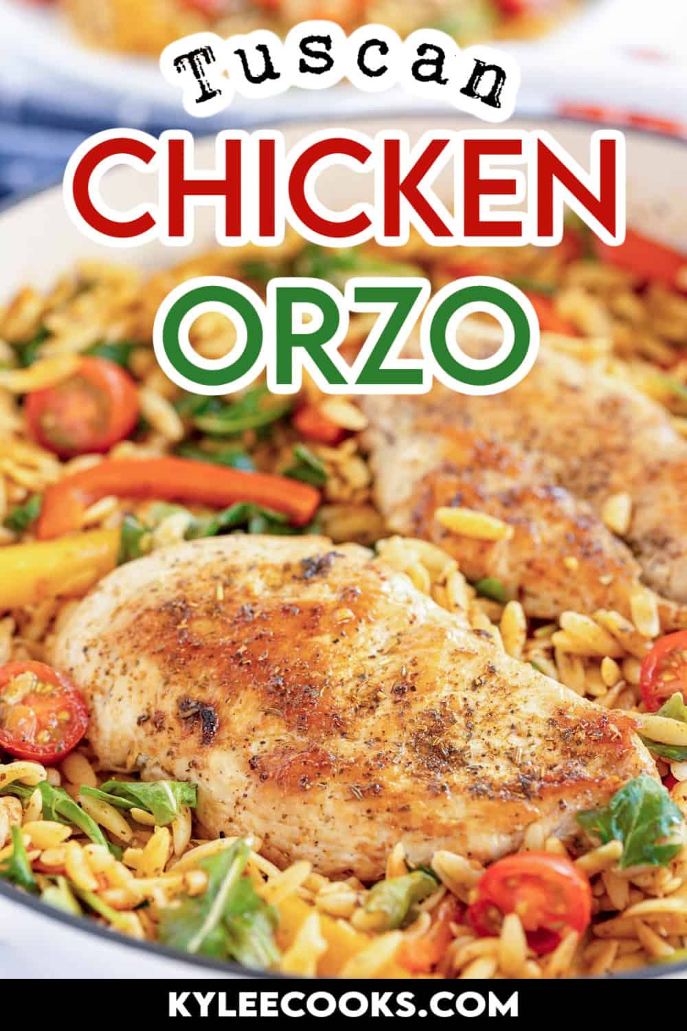 cooked chicken breasts in a skillet with orzo, with recipe name and ingredients overlaid in text.