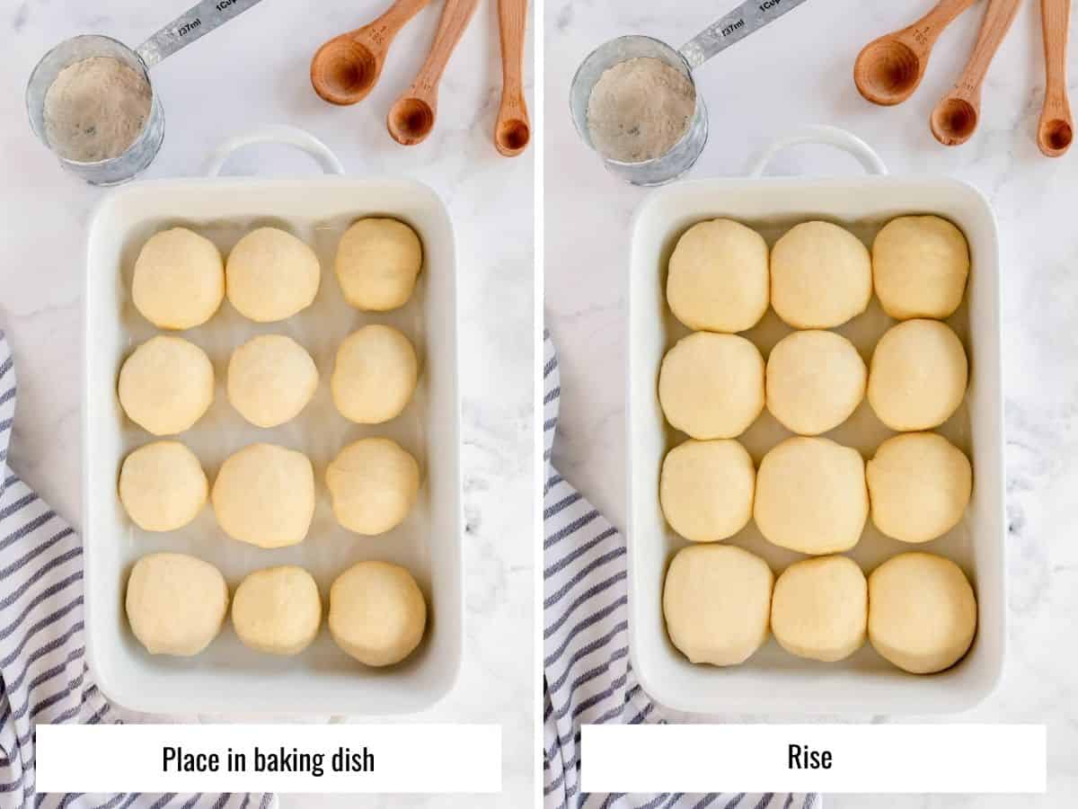 step by step to make dinner rolls - rising