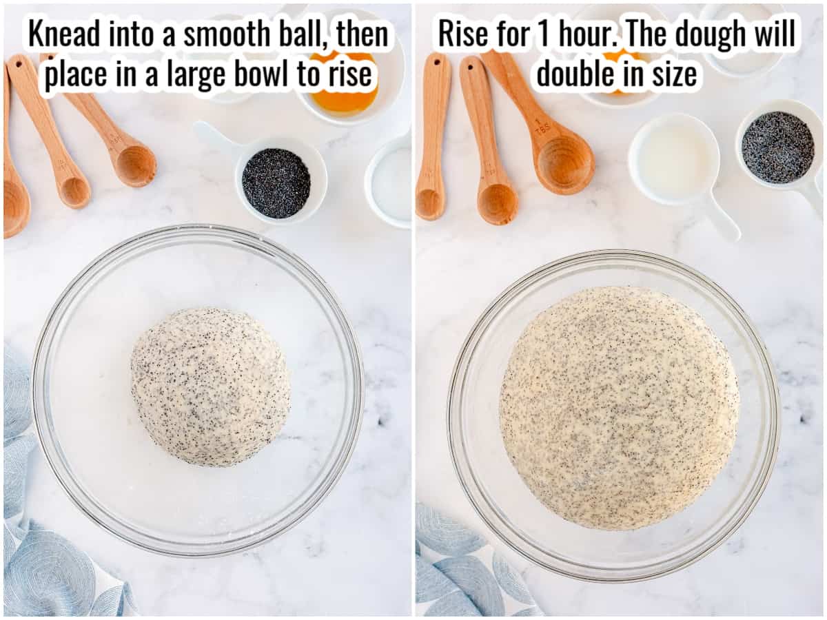 step by step showing unrisen and risen dough for braided bread