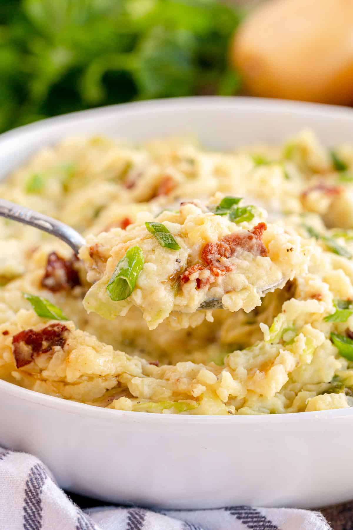 colcannon in a white bowl with a spoon