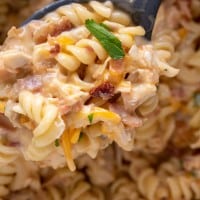 close up of a chicken bacon ranch pasta.