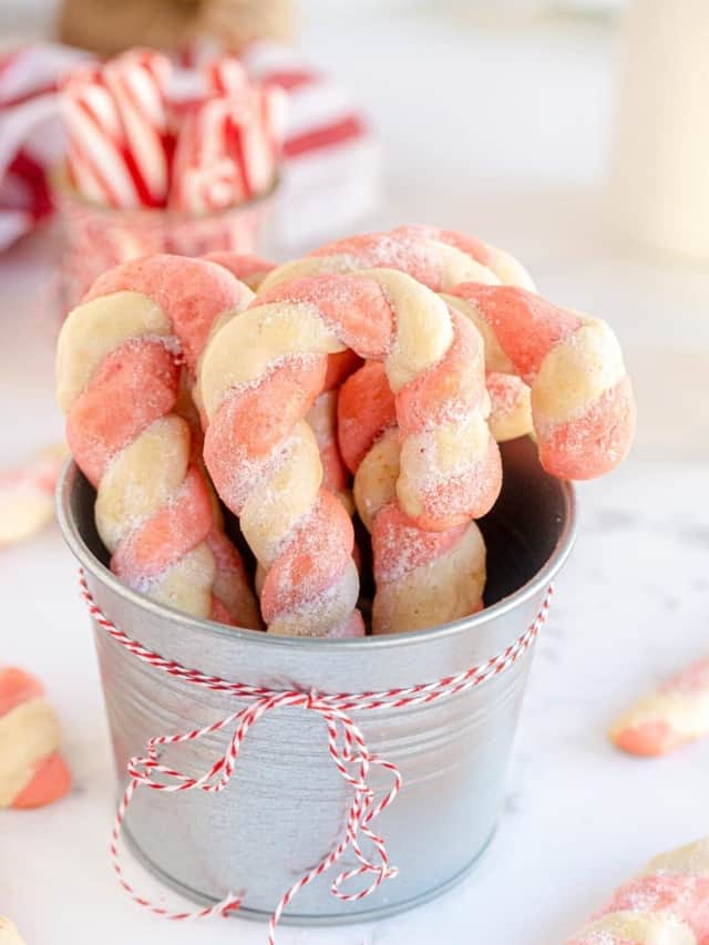 Candy Cane Cookies (Fun Holiday Baking!)