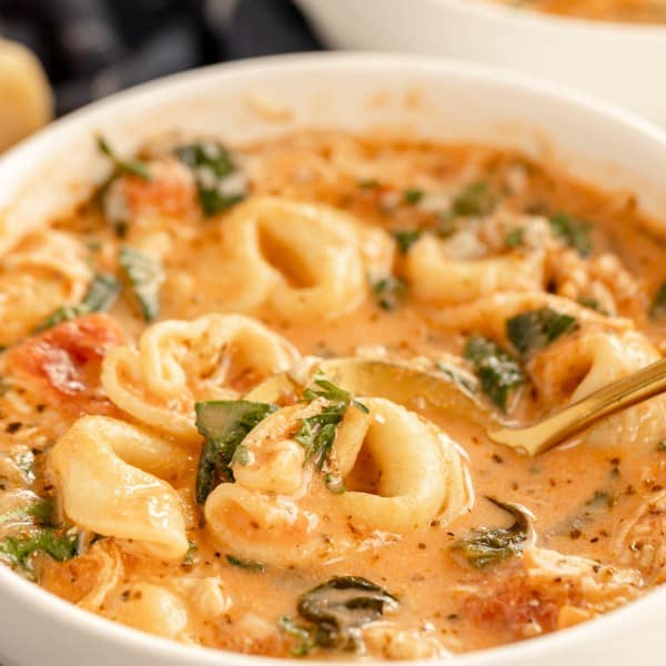 Chicken tortellini soup in a bowl with a spoon.