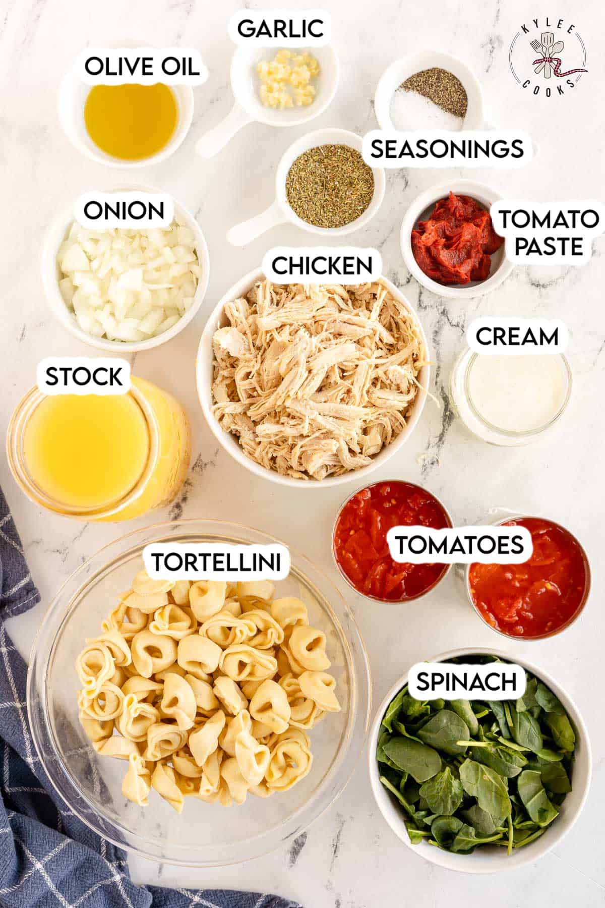 ingredients to make chicken tortellini soup laid out and labeled.