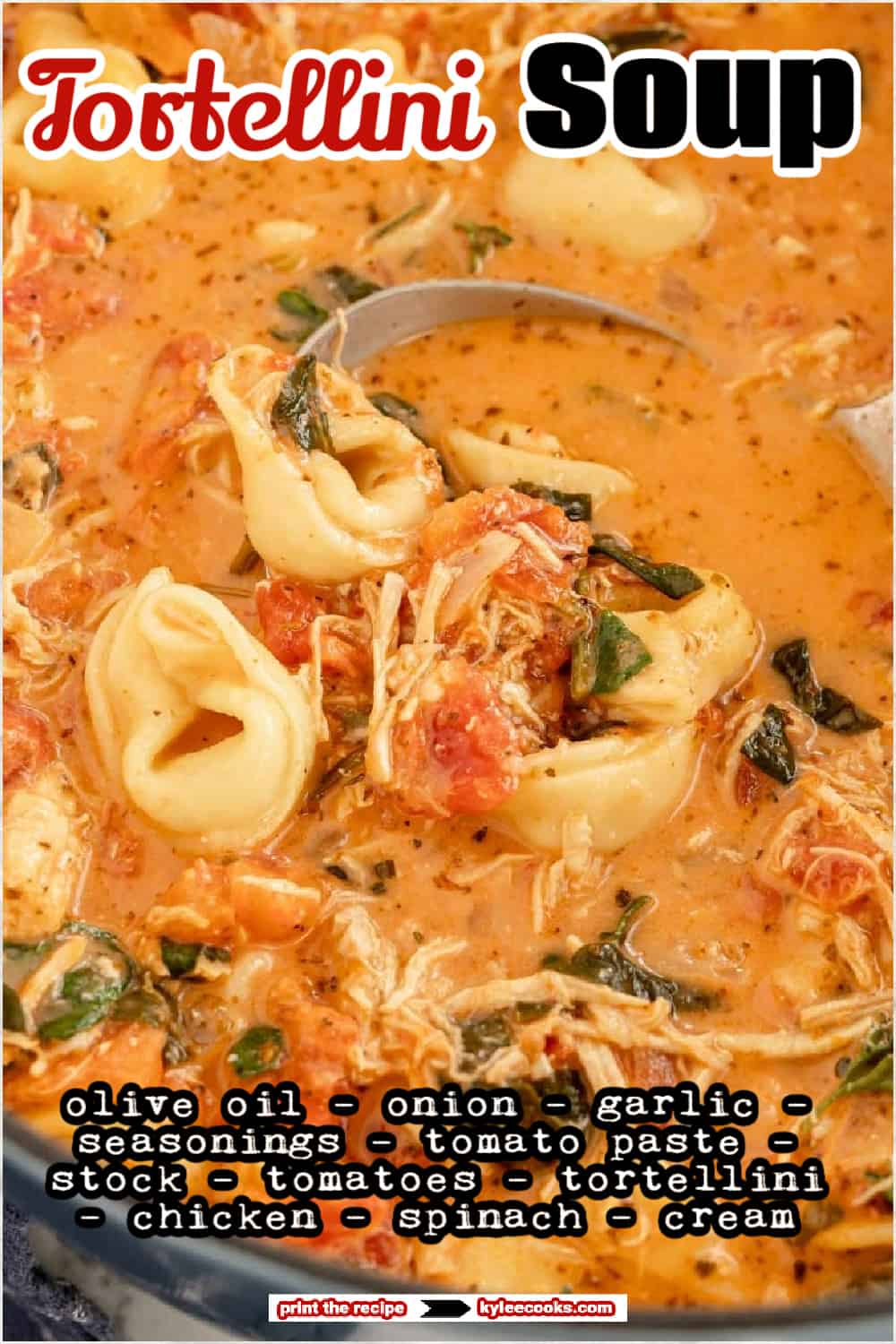 chicken tortellini soup on a ladle with ingredients overlaid in text.