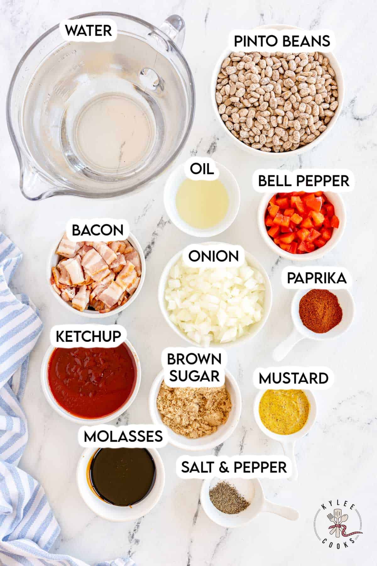 ingredients to make baked beans in the instant pot laid out and labeled.