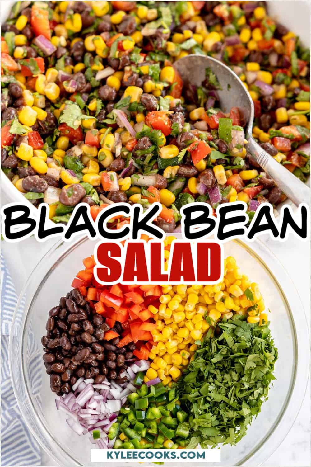 black bean salad in a bowl with a spoon, with text overlay.