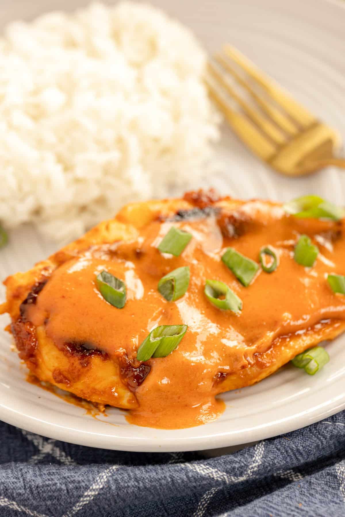 A plate of chicken Diablo with rice.