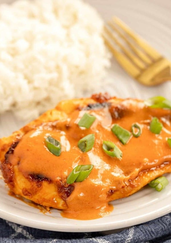 A plate of chicken Diablo with rice.