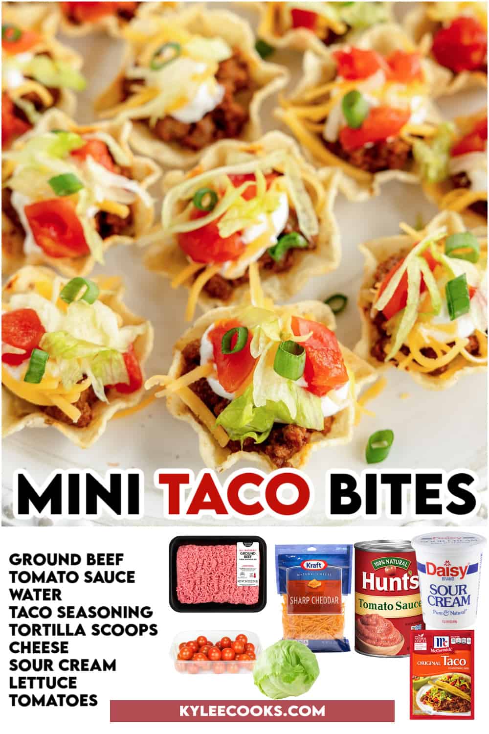 Taco bites on a white platter with recipe name and ingredients overlaid on top.