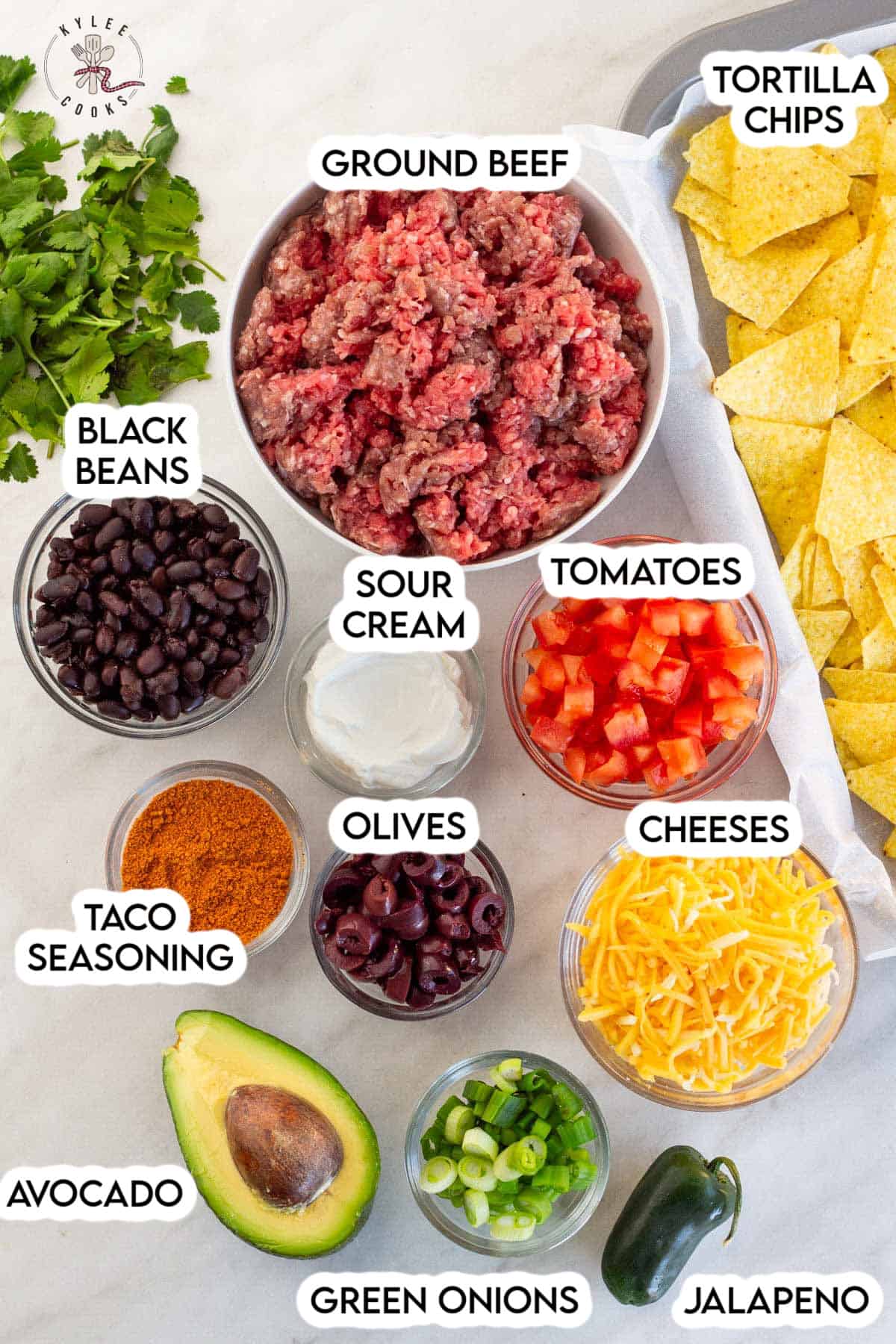 ingredients to make nachos, laid out and labeled.