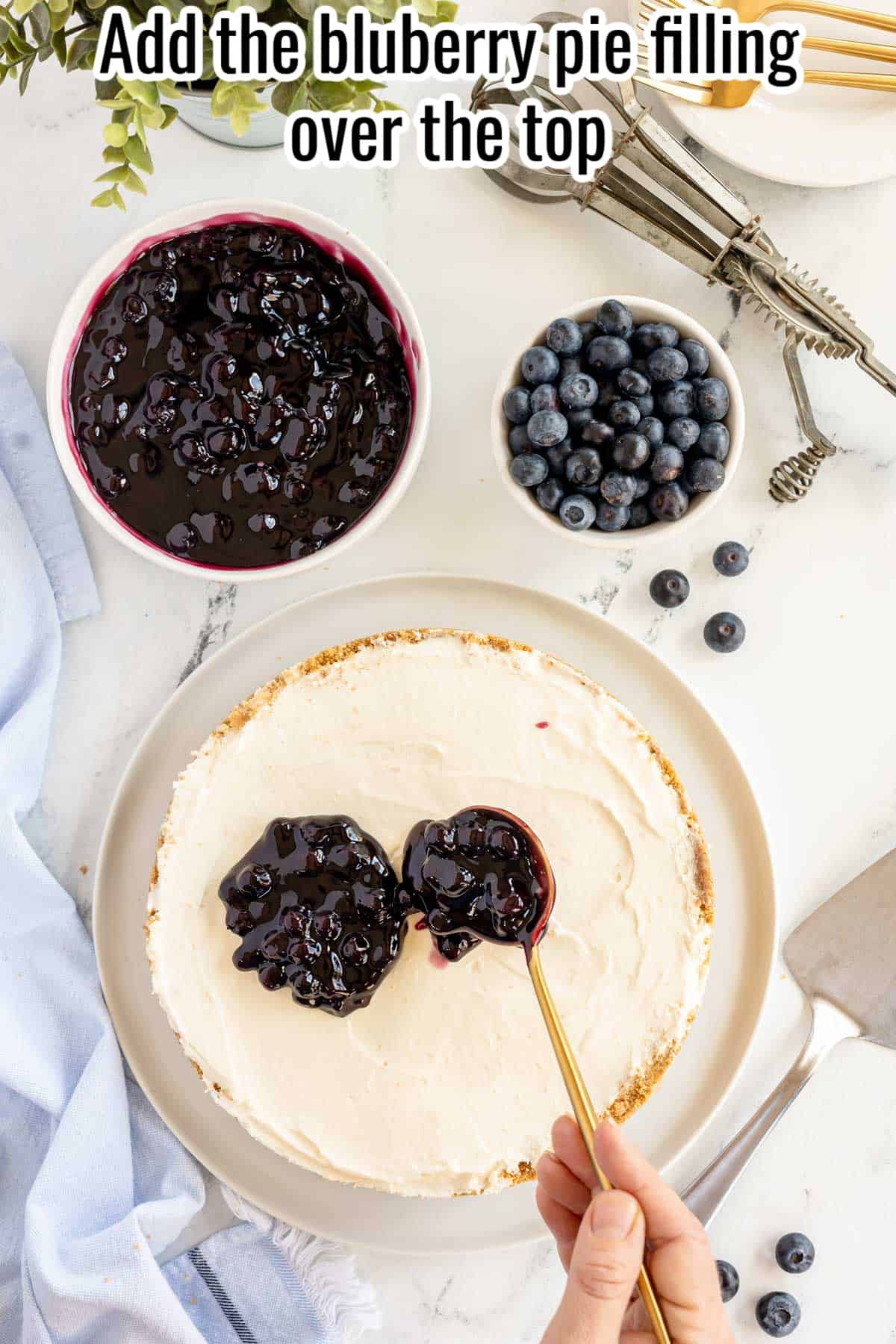 cheesecake out of the springform pan with a little blueberry pie filling on top.