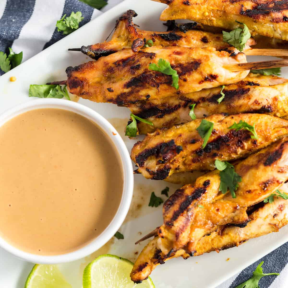 Grilled Chicken Satay