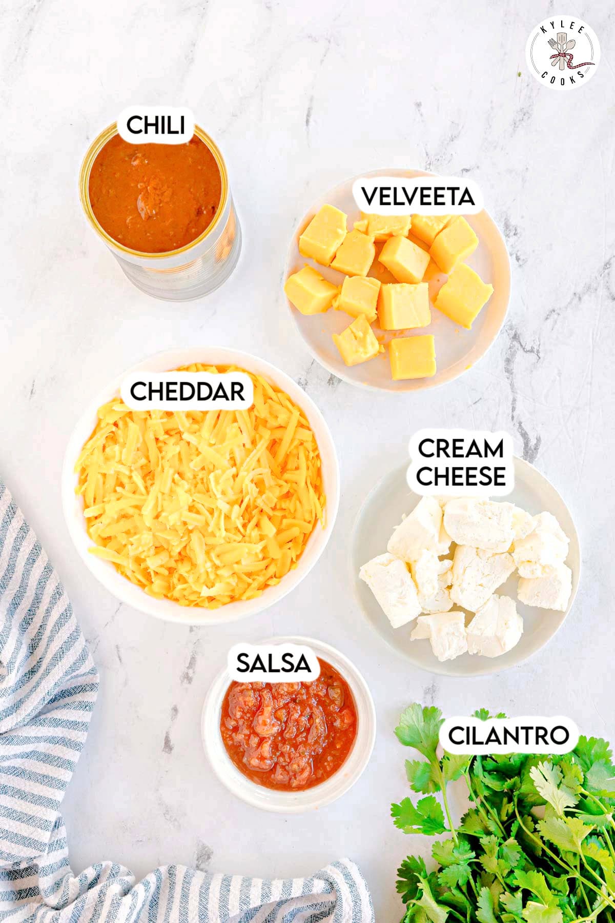 A can of chili, cubed Velveeta, shredded cheddar, chunks of cream cheese, a bowl of salsa, and fresh cilantro. Text on the image says 'CHILI', 'VELVEETA', 'CHEDDAR', 'CREAM CHEESE', 'SALSA', 'CILANTRO'.